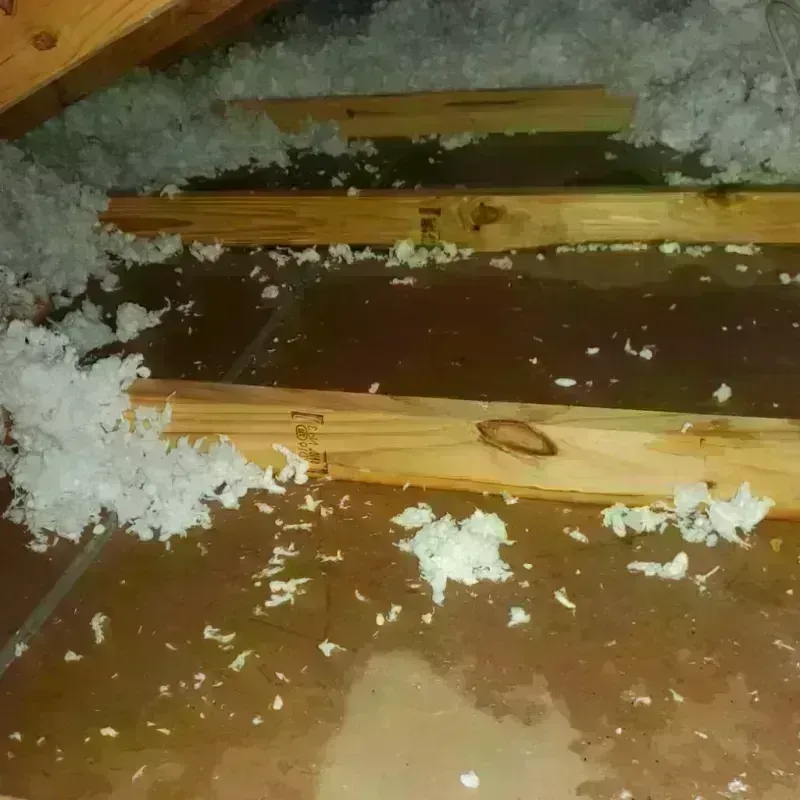 Attic Water Damage in Island Lake, IL