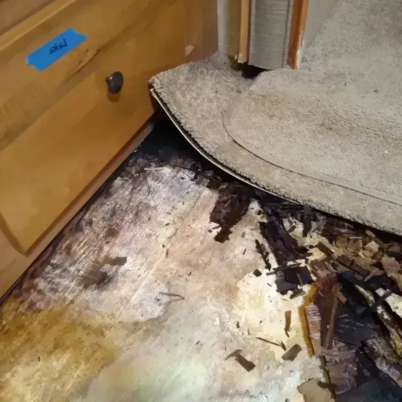 Wood Floor Water Damage in Island Lake, IL